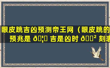 眼皮跳吉凶预测帝王网（眼皮跳的预兆是 🦈 吉是凶时 🌲 刻表）